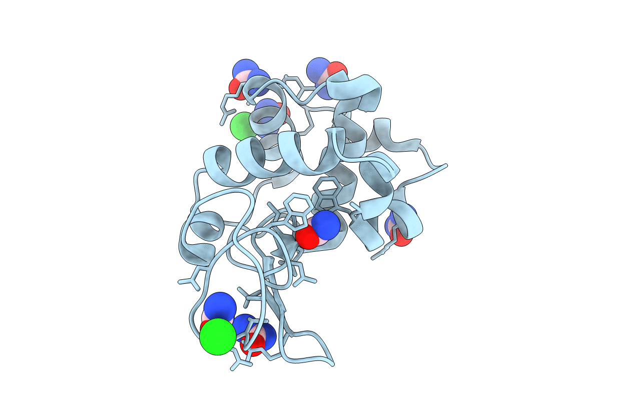 5I4X image