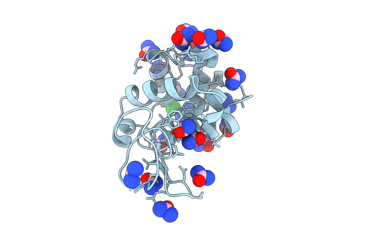 5I4Y image