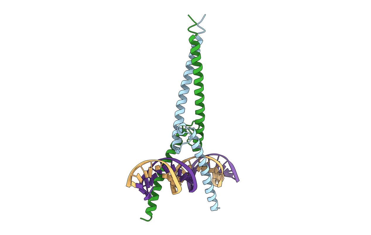 5I50 image