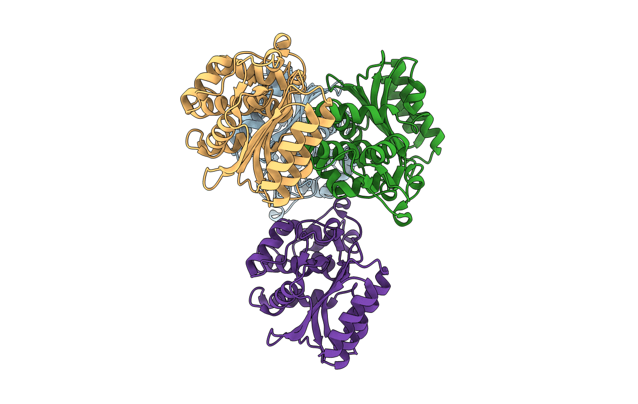 5I52 image