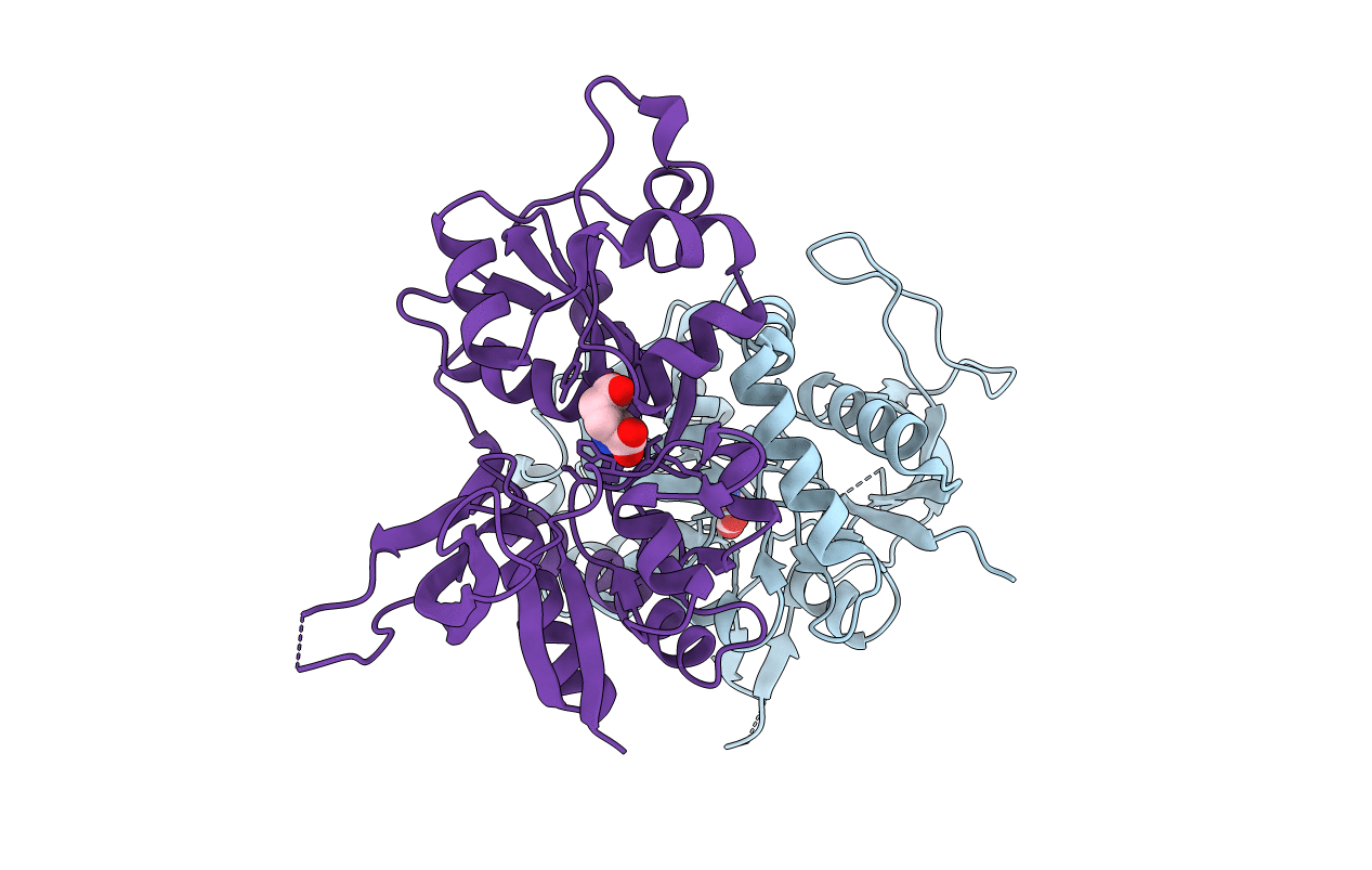 5I57 image