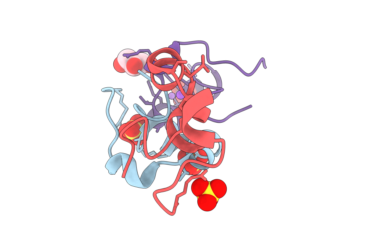 5I5C image