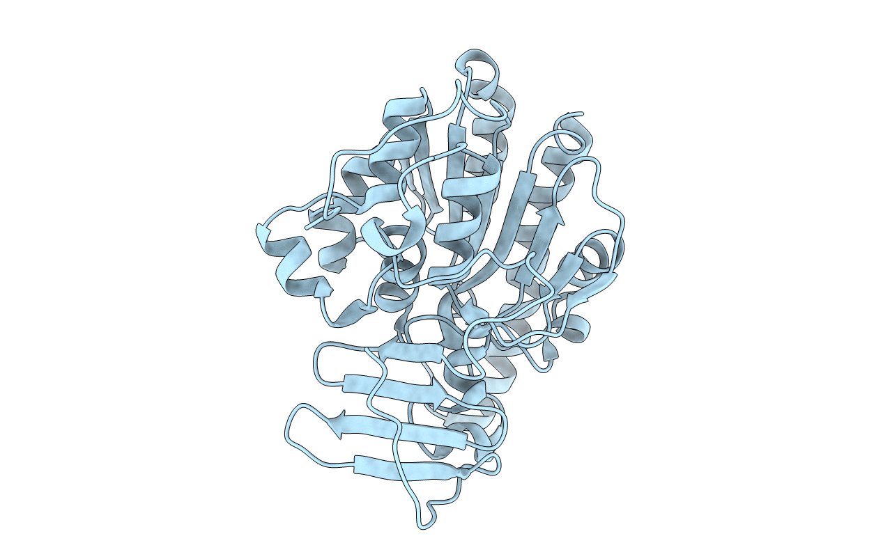5I5H image