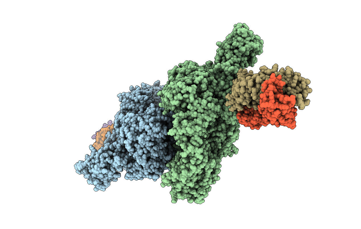 5I5K image