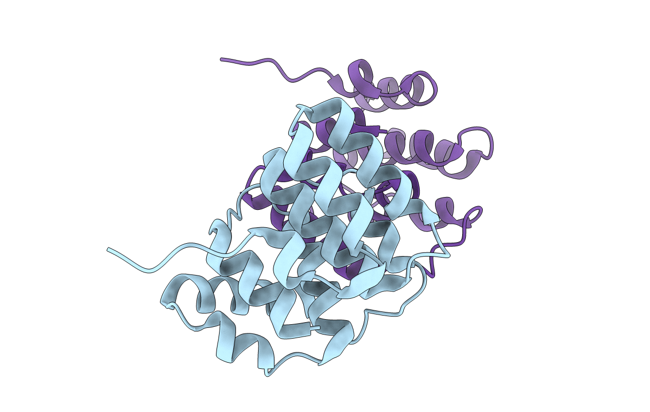 5I5N image