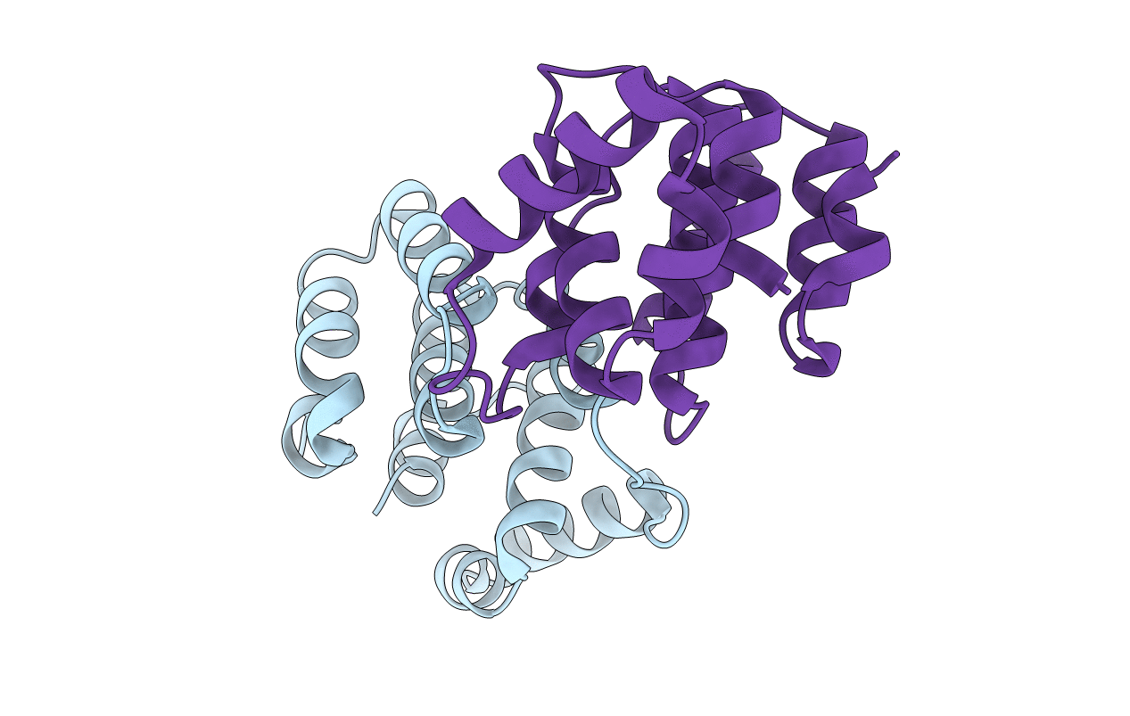 5I5O image