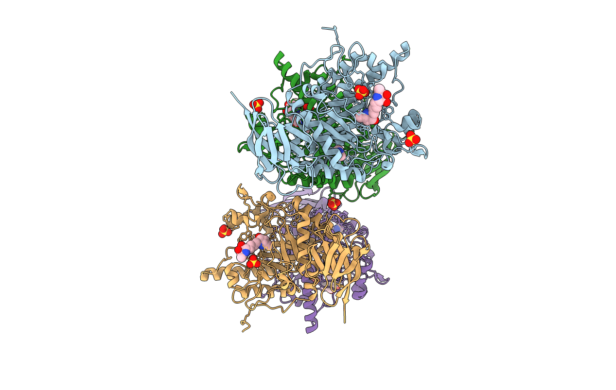 5I5R image