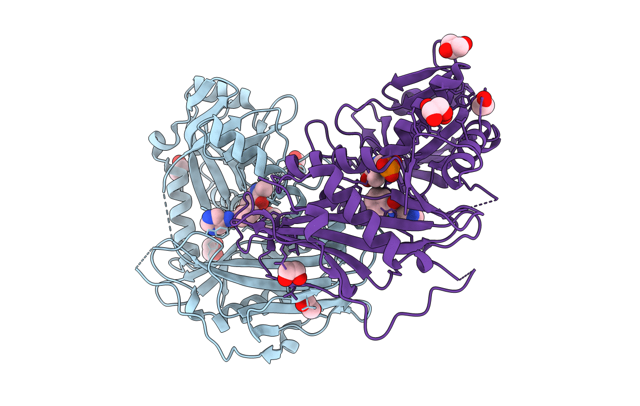 5I5W image