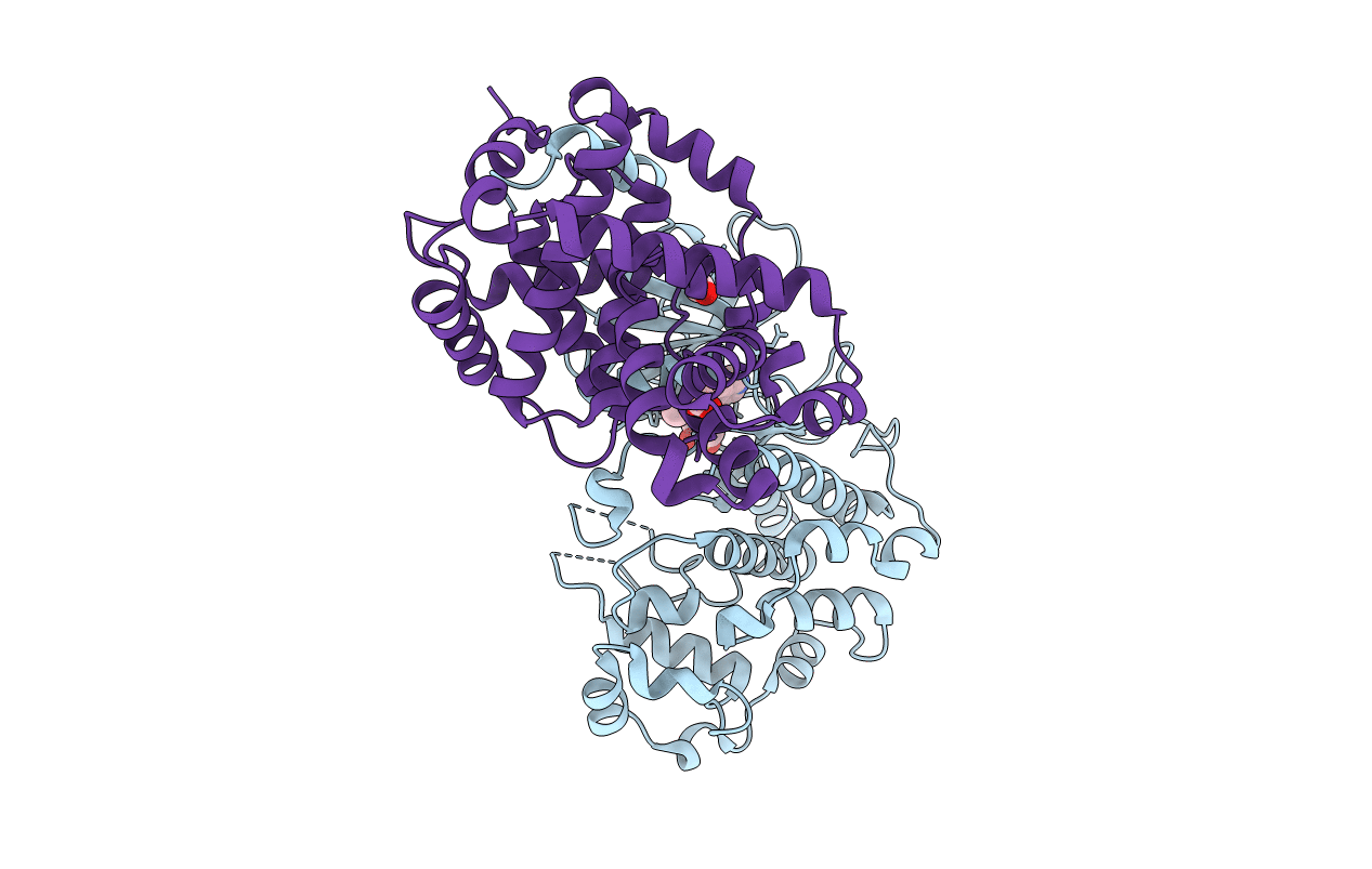 5I5Z image