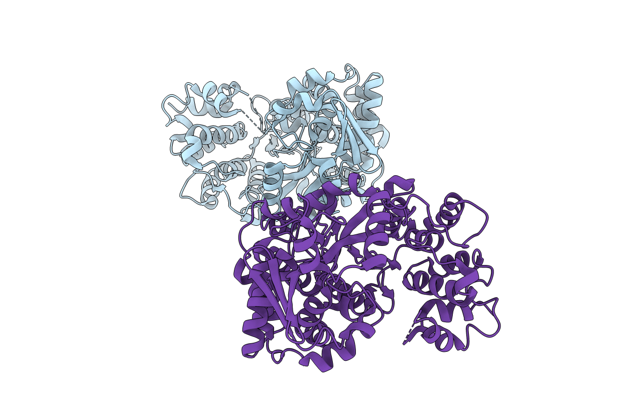 5I61 image