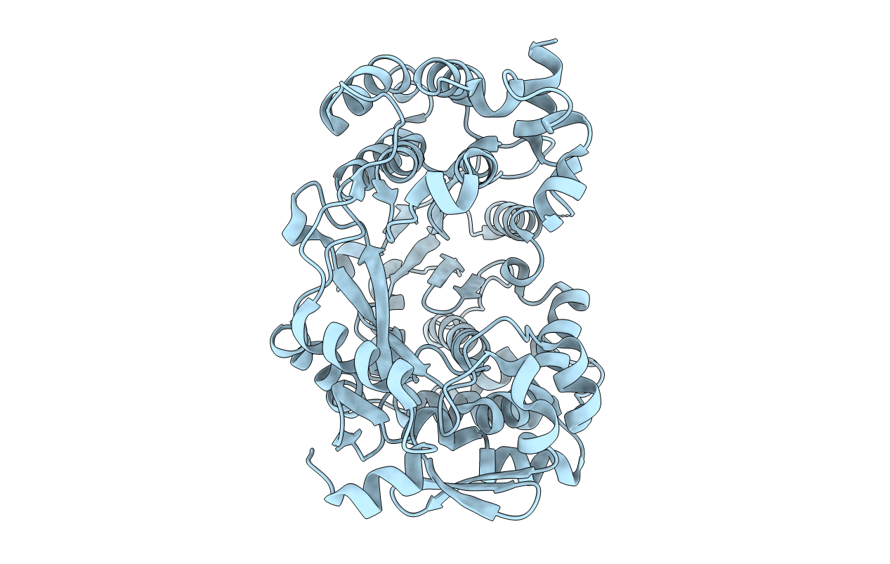 5I62 image