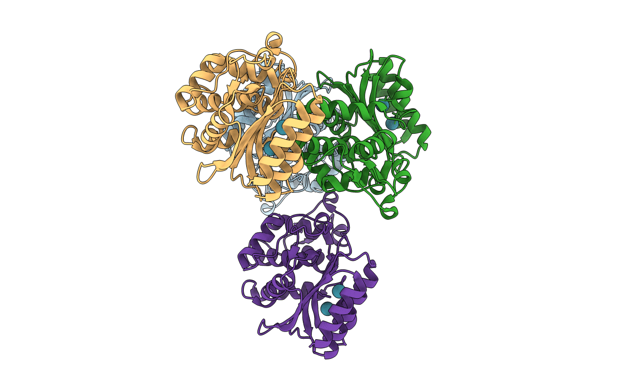 5I63 image
