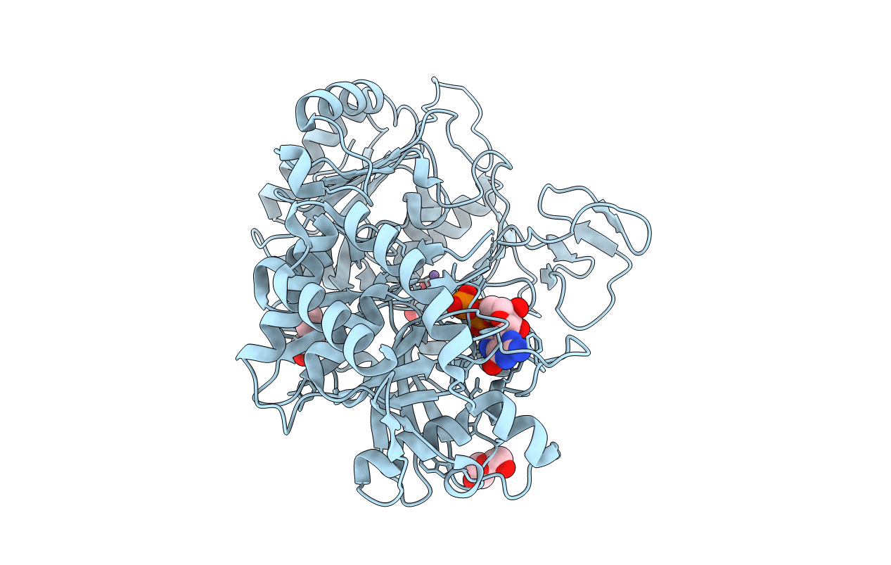 5I67 image