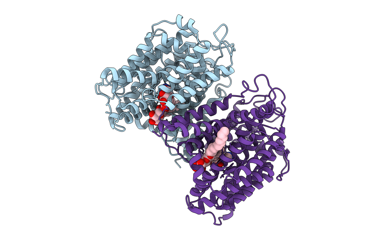5I6C image