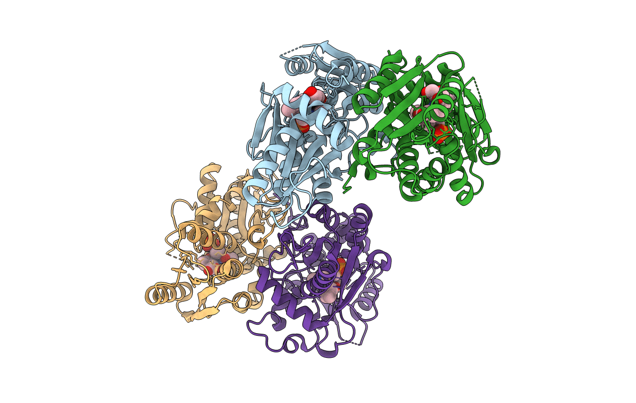 5I6D image
