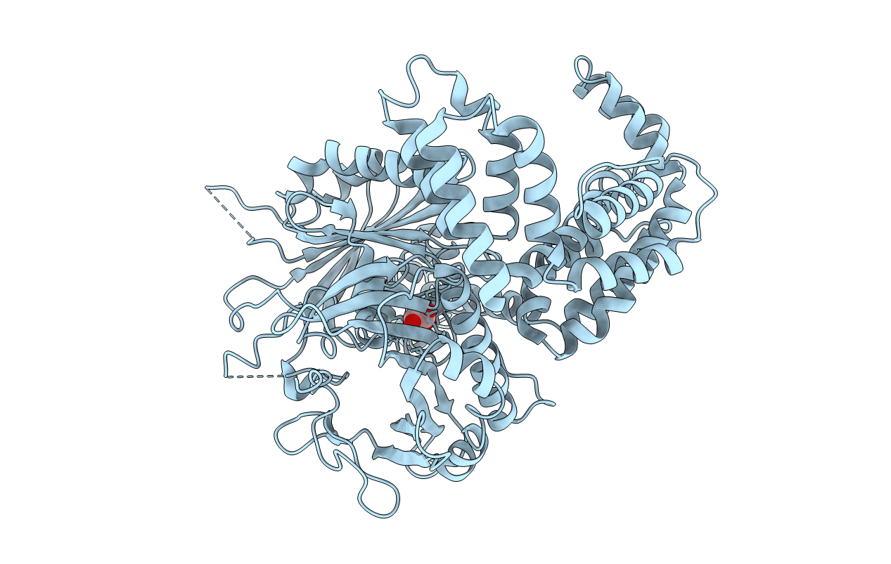 5I6E image