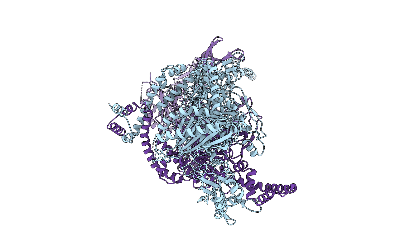 5i6f image