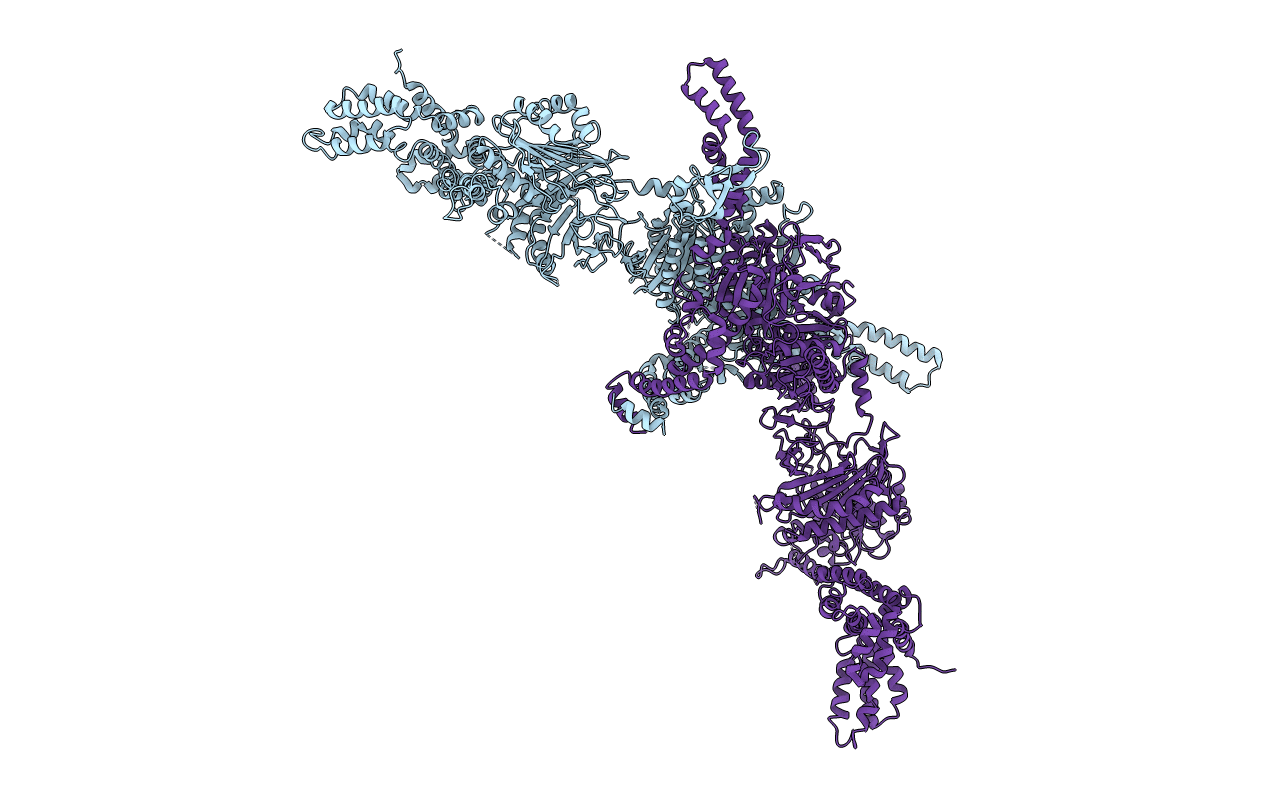 5i6h image