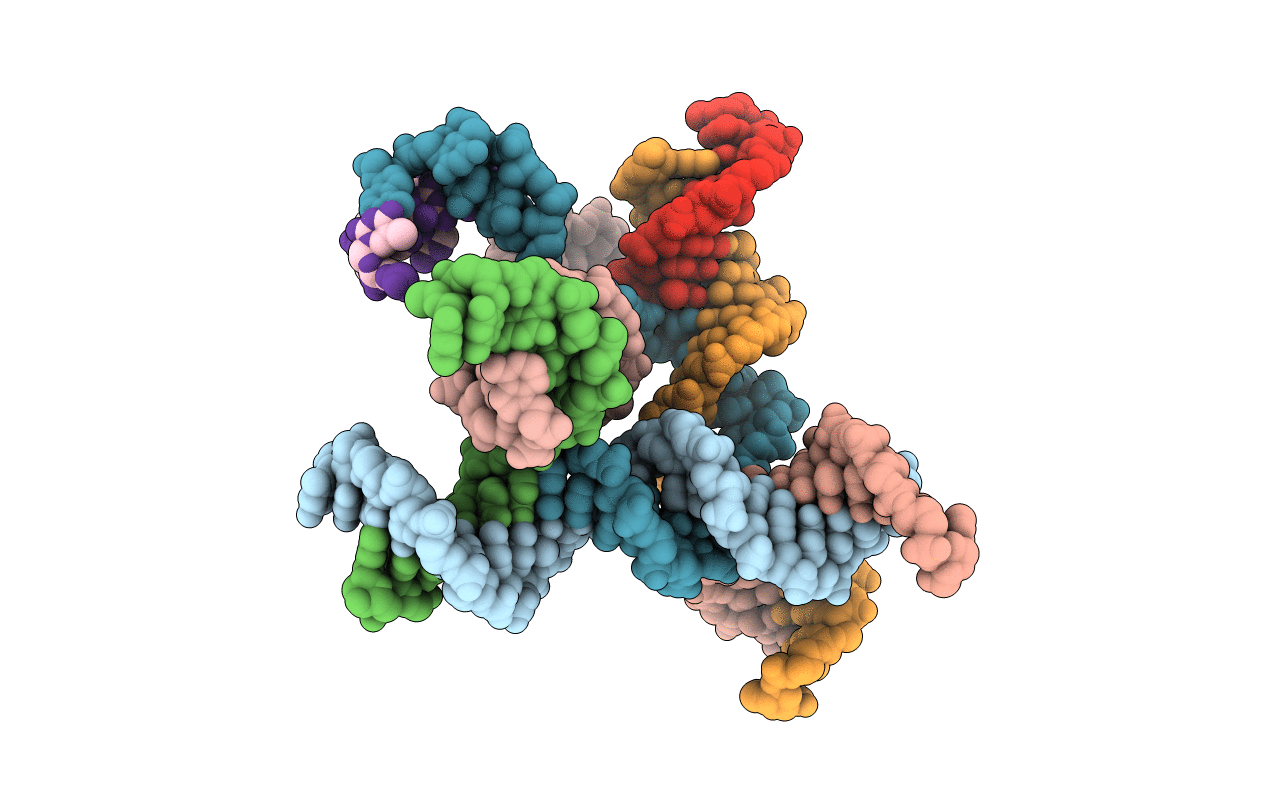 5I6Q image