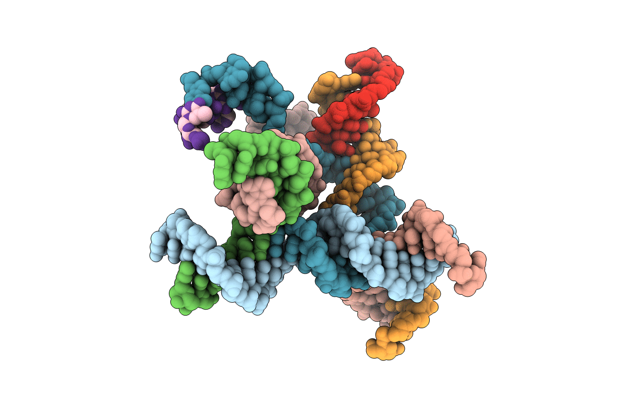 5I6T image