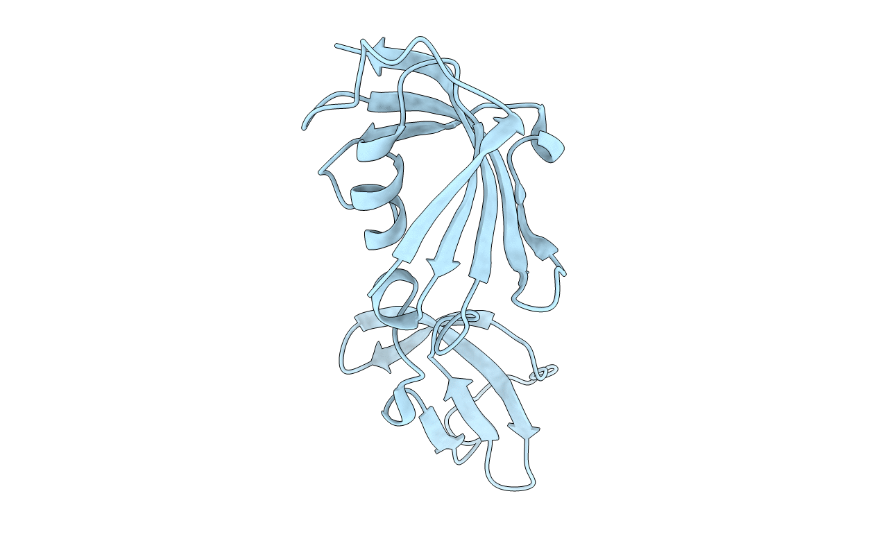 5I7P image