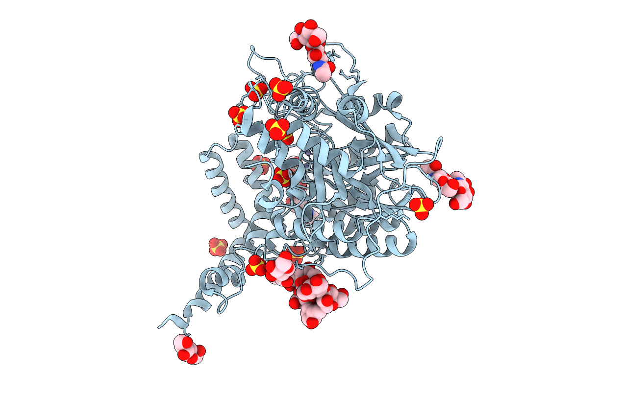 5I81 image