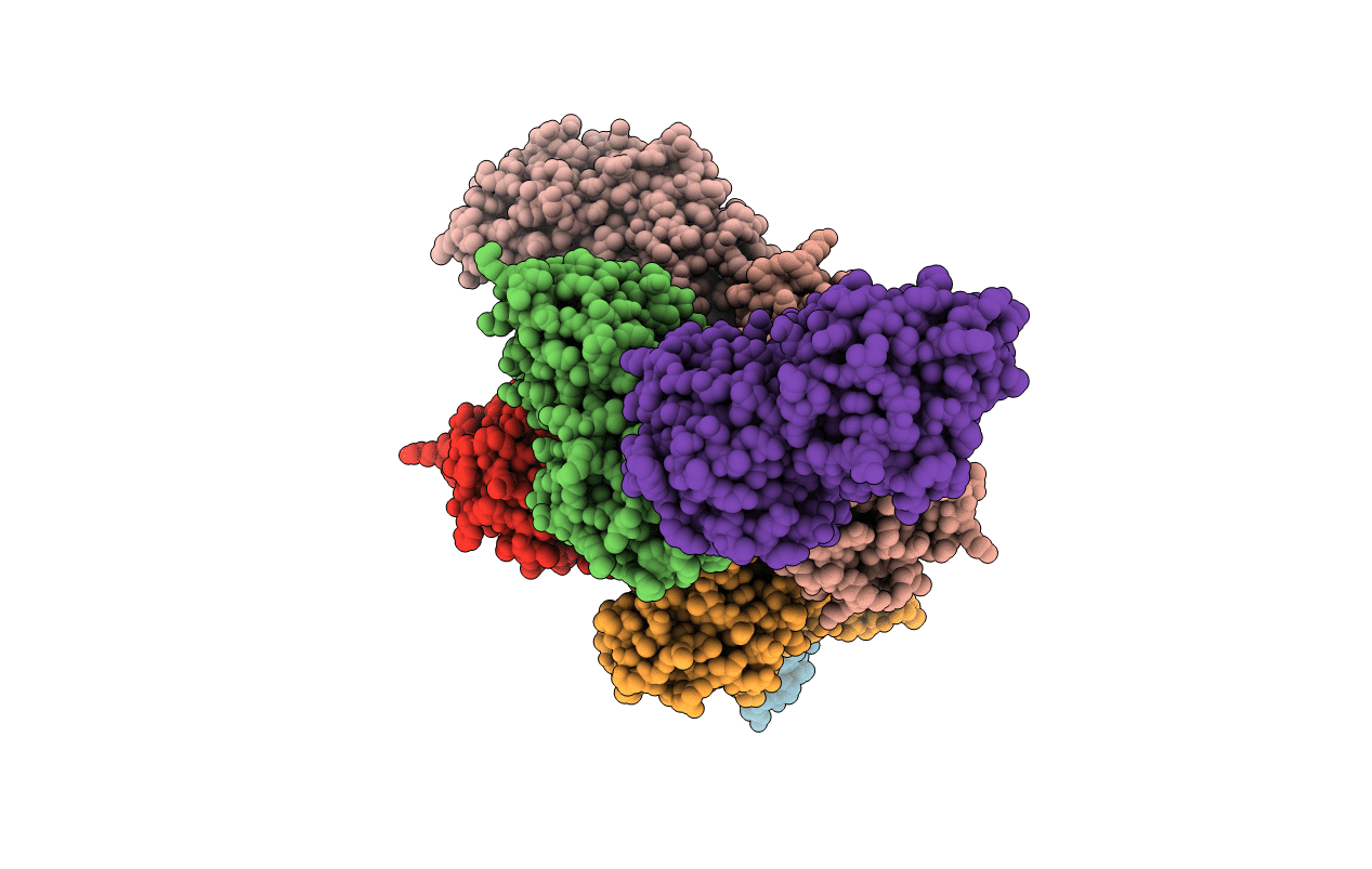 5I84 image