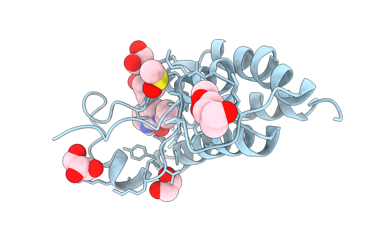 5I88 image