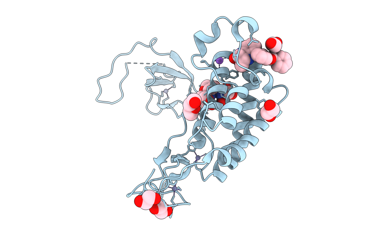 5I8B image