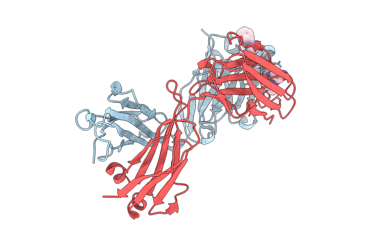 5I8C image