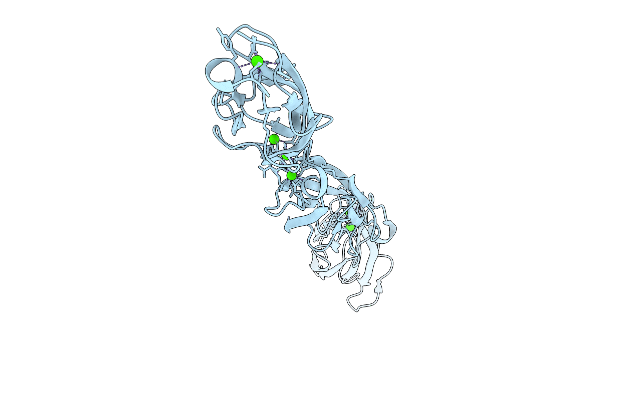 5I8D image