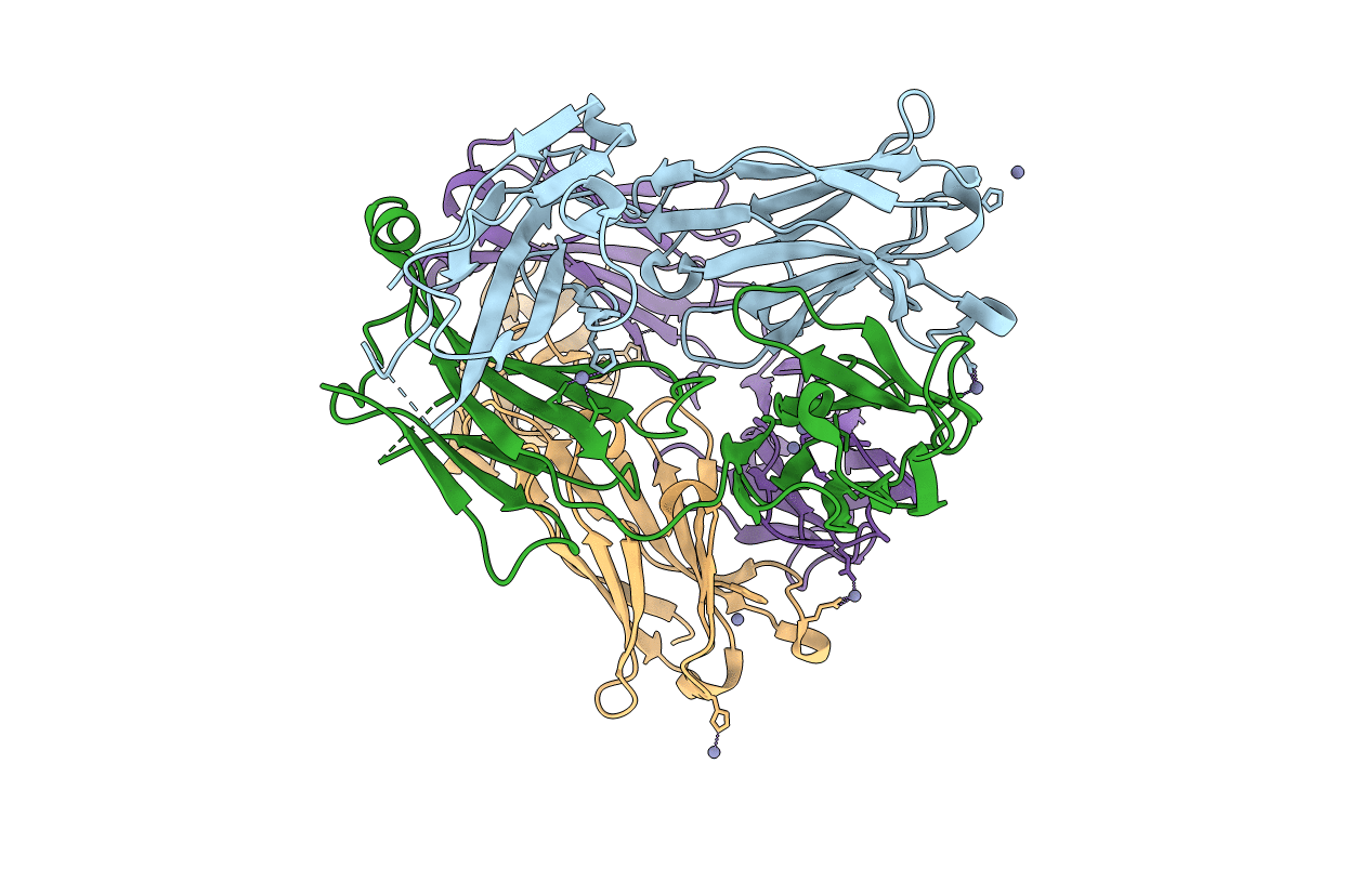 5I8E image