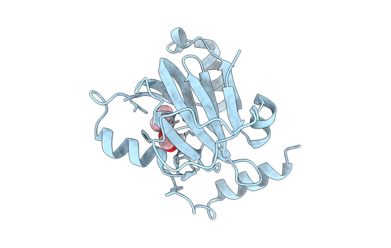 5I8T image