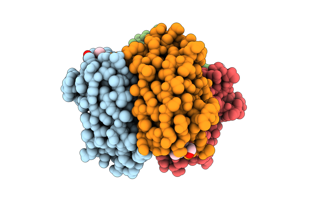 5I8X image