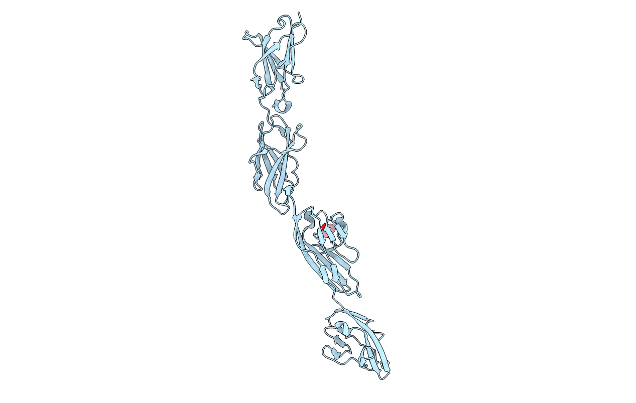 5I99 image