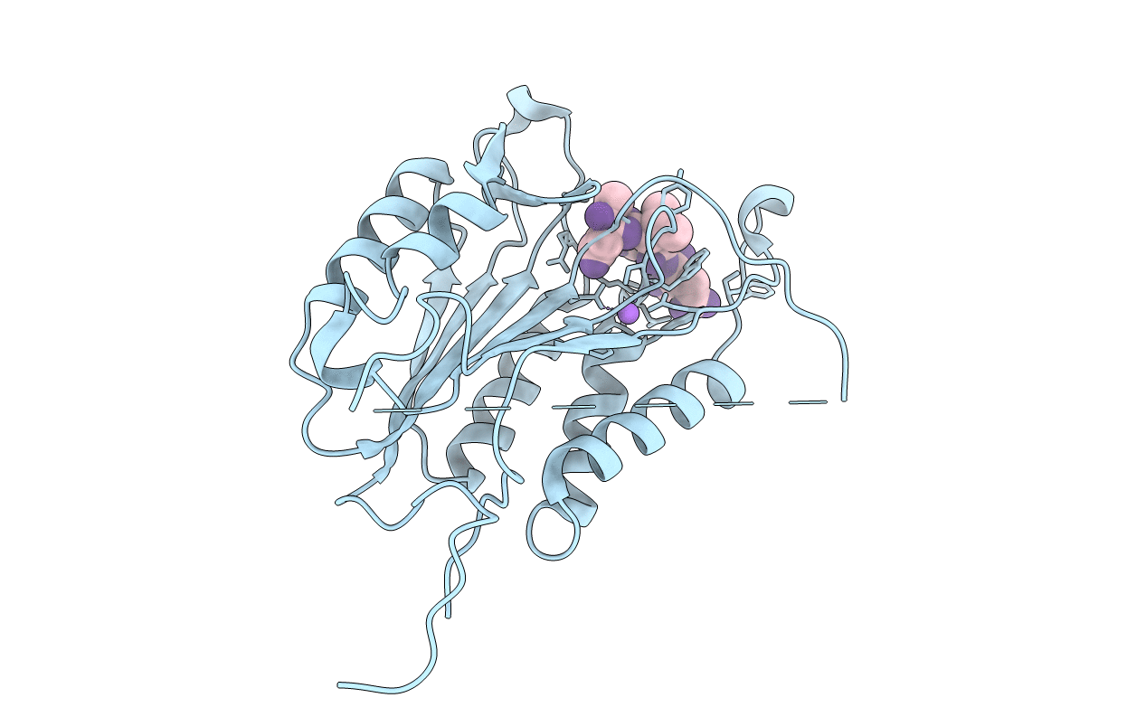 5I9B image