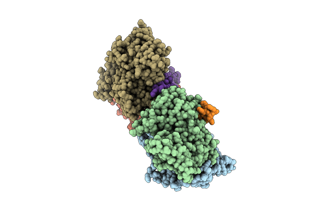 5I9E image