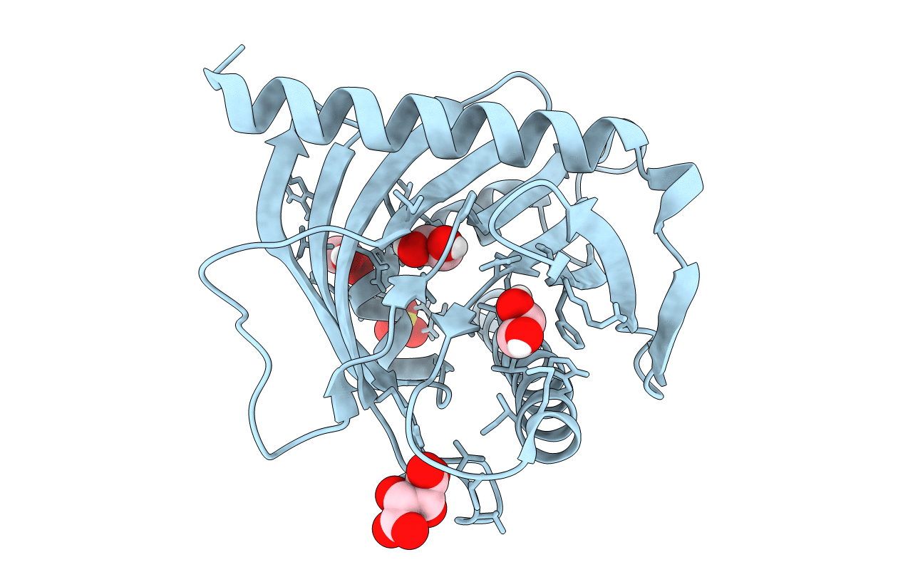 5I9J image