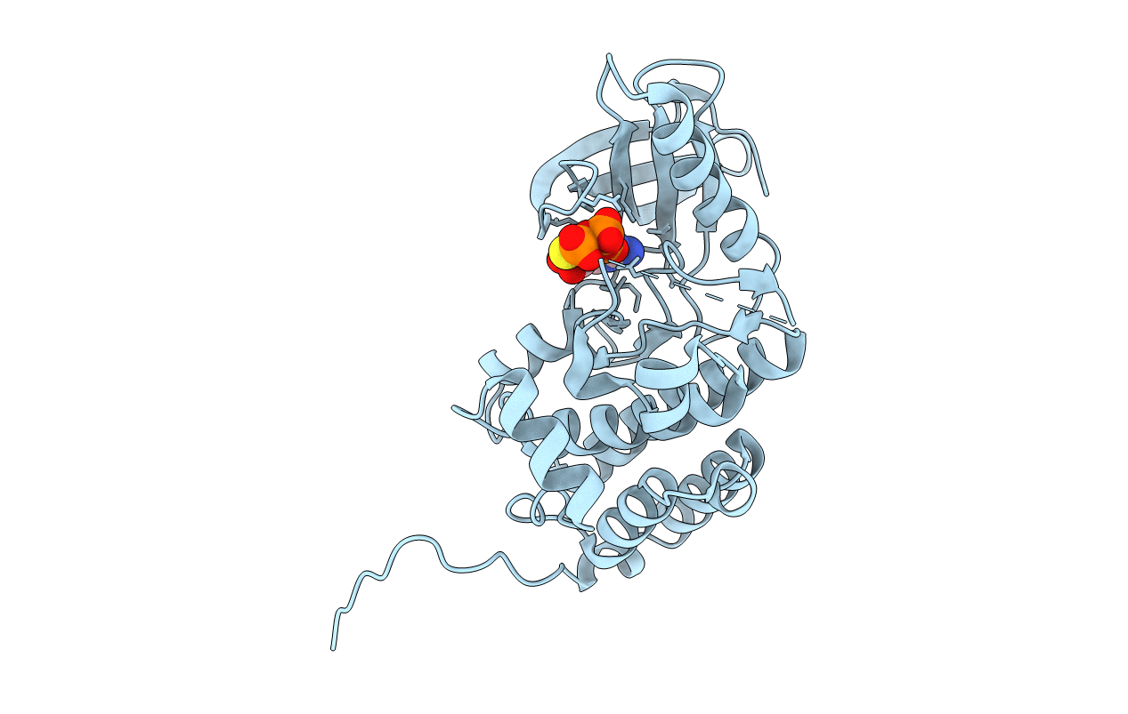 5I9V image
