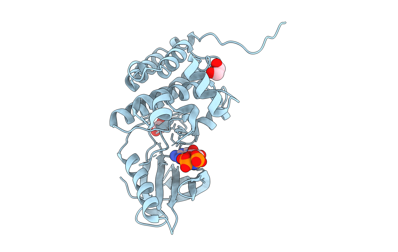 5I9W image