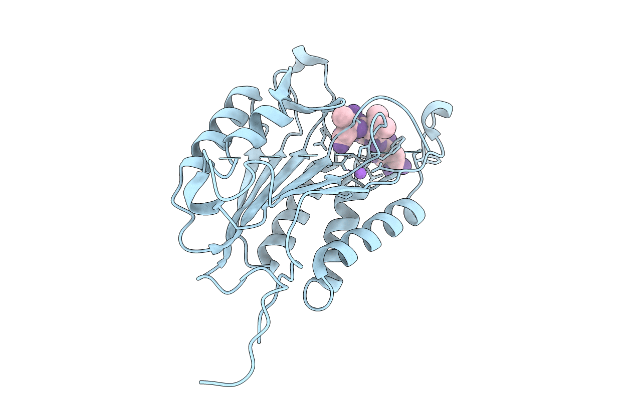 5IAJ image