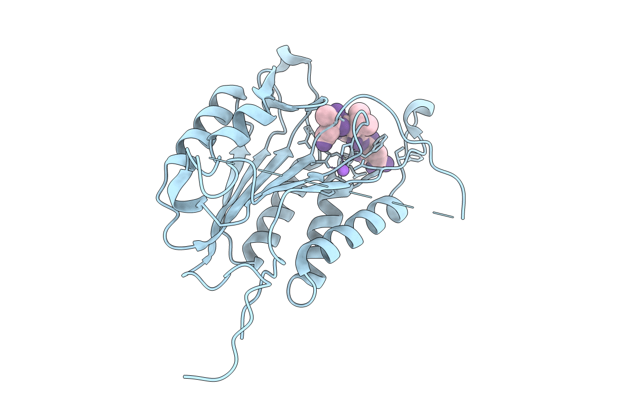 5IAK image