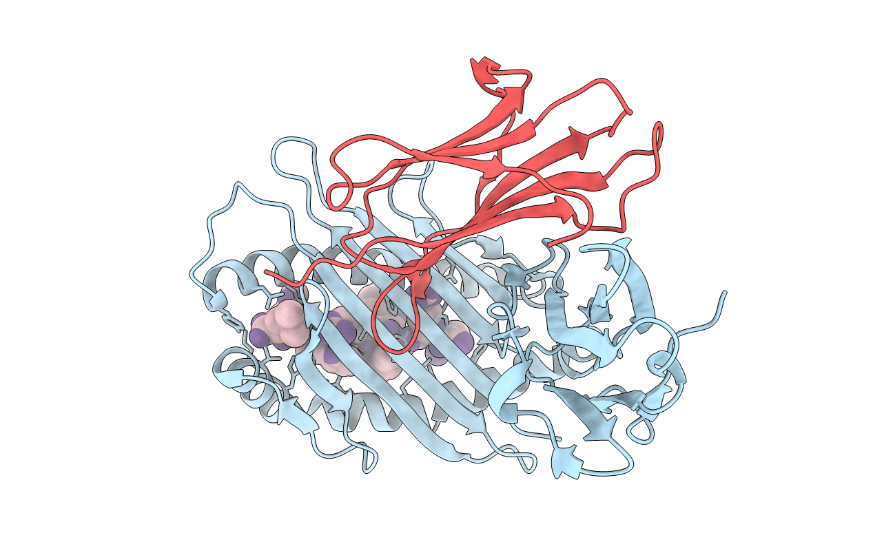 5IB1 image