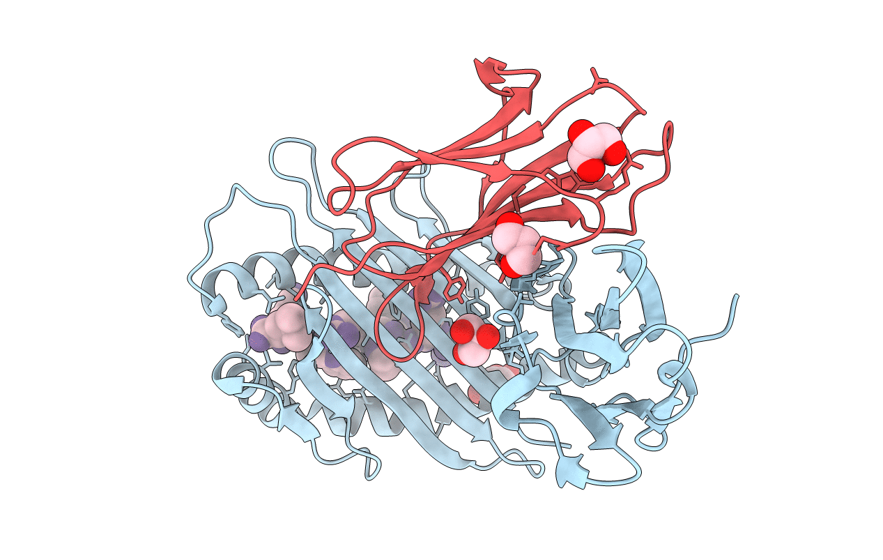 5IB2 image