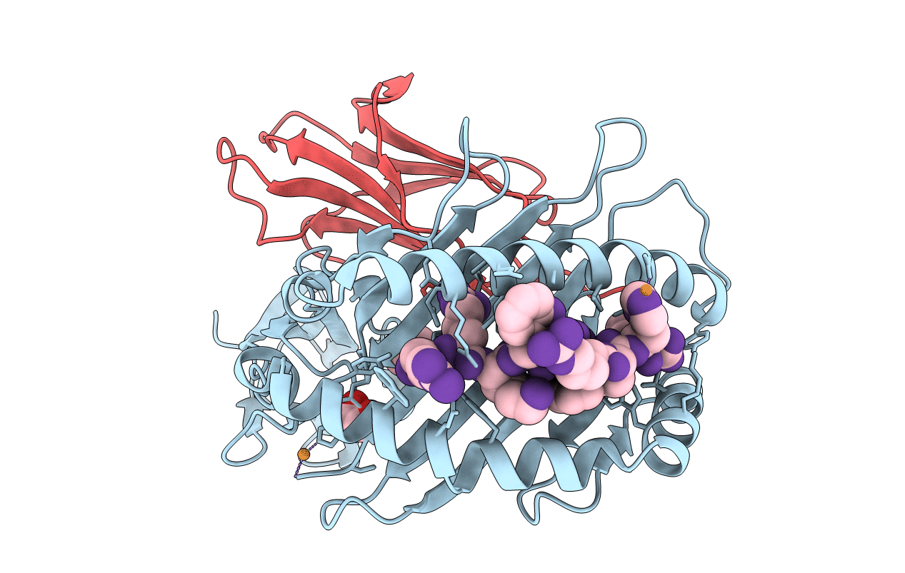 5IB3 image