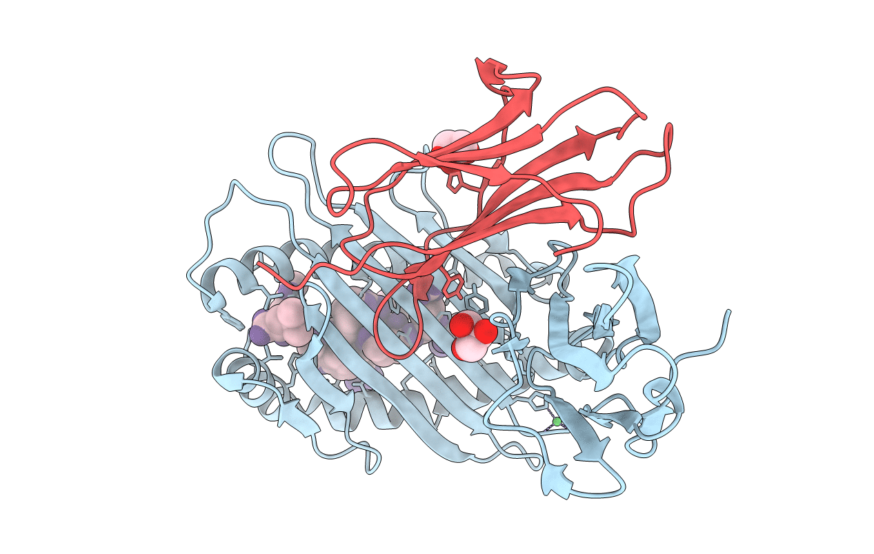 5IB4 image