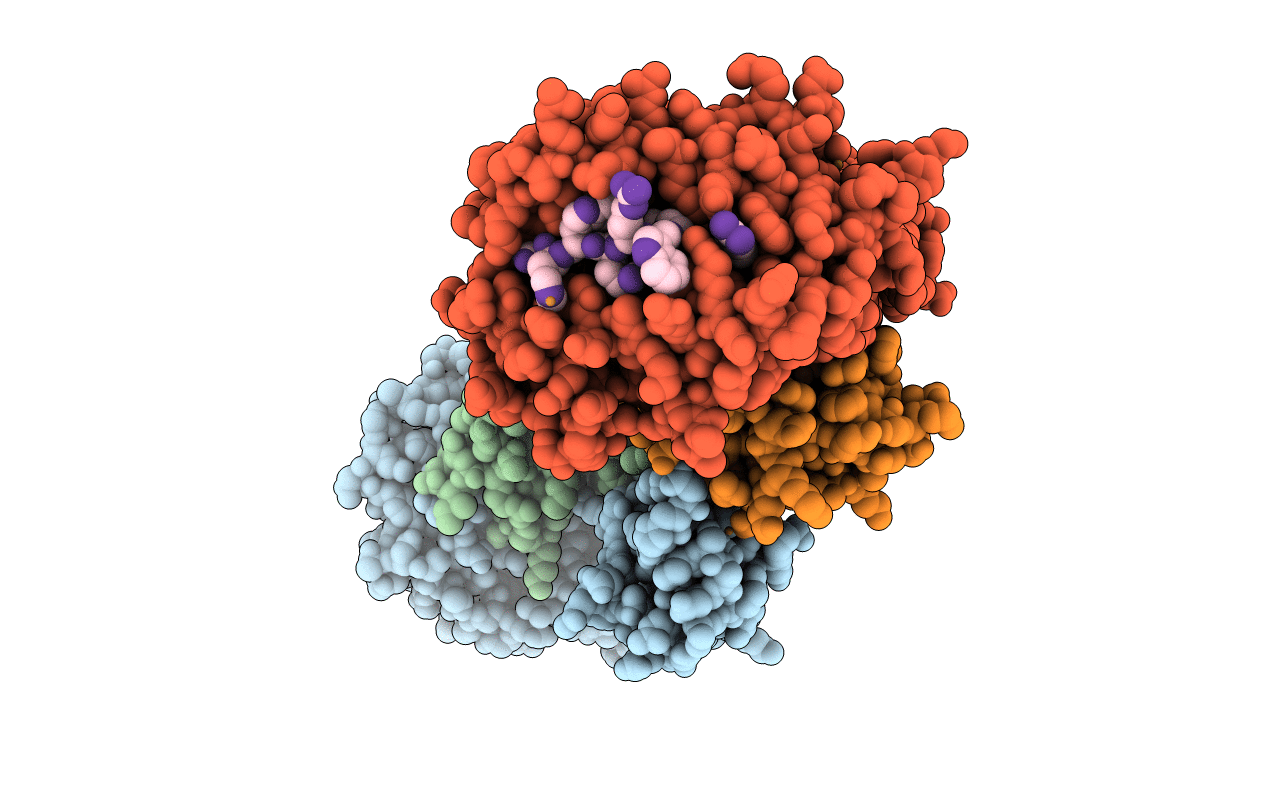 5IB5 image