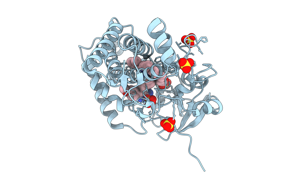 5IBD image