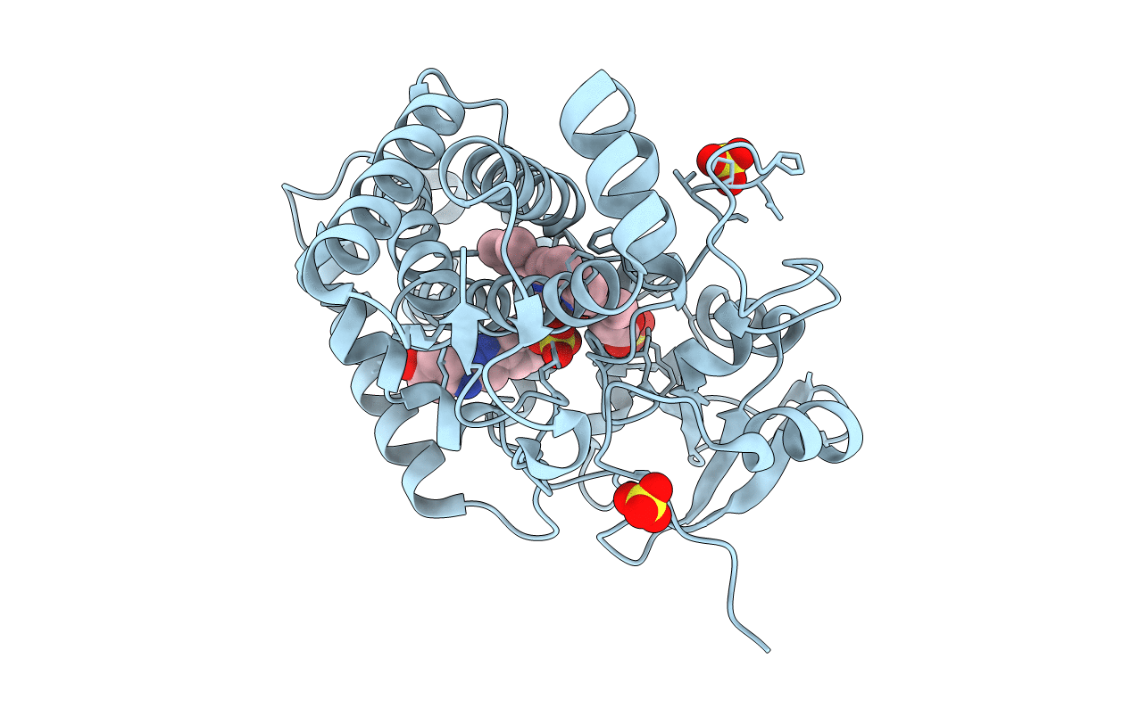 5IBJ image