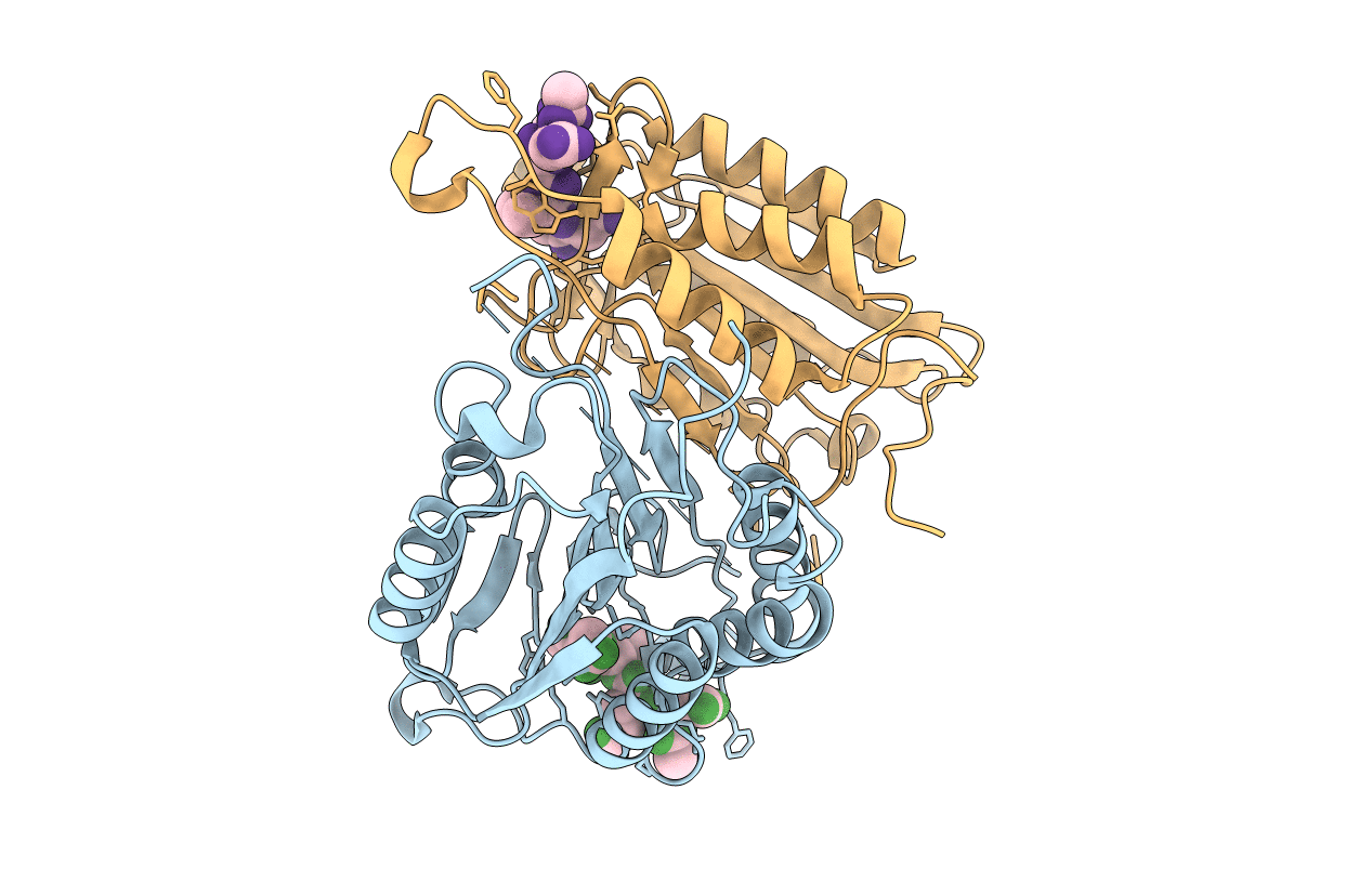5IBR image
